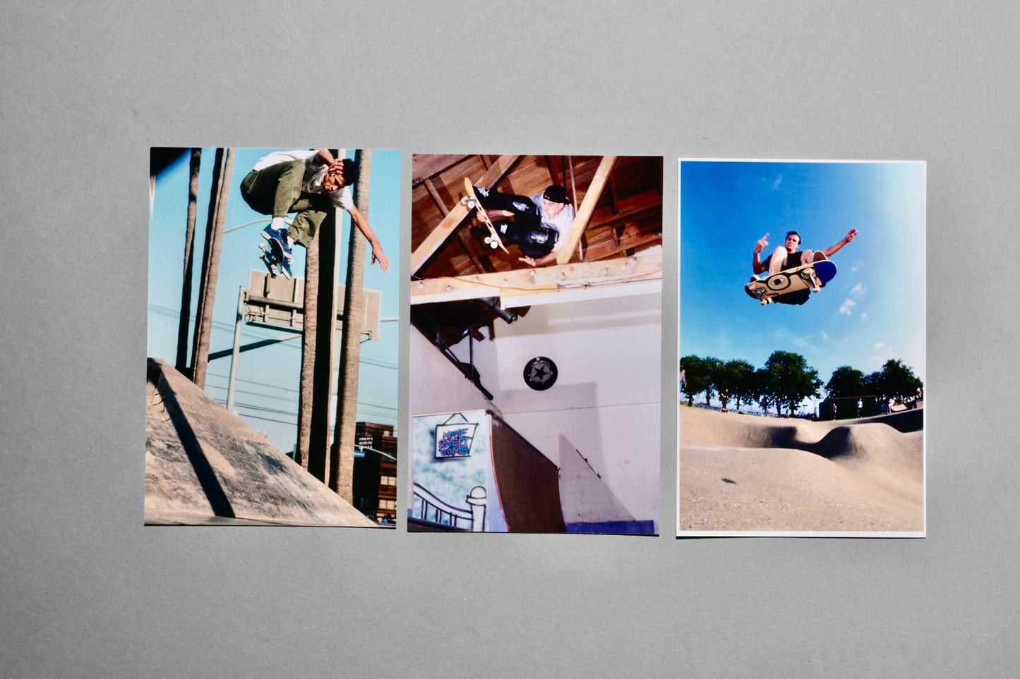 Jason Lee John Cardiel Ed templeton 